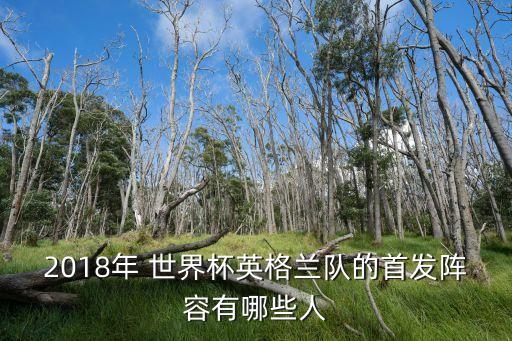 2018年 世界杯英格蘭隊(duì)的首發(fā)陣容有哪些人