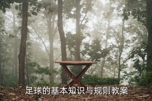  足球的基本知識與規(guī)則教案