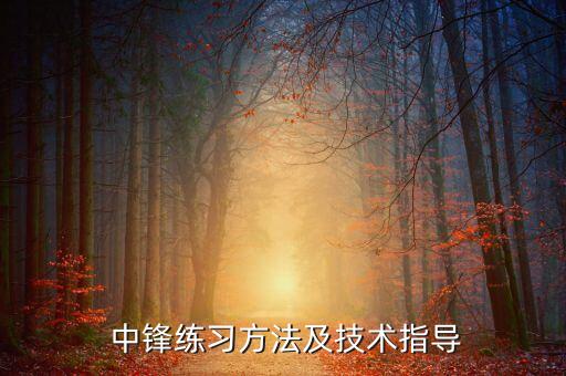  中鋒練習方法及技術(shù)指導(dǎo)