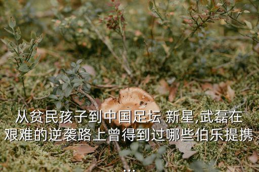 中國(guó)足球近年新星