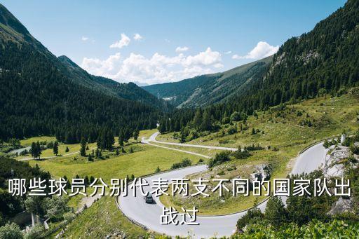 哪些球員分別代表兩支不同的國(guó)家隊(duì)出戰(zhàn)過