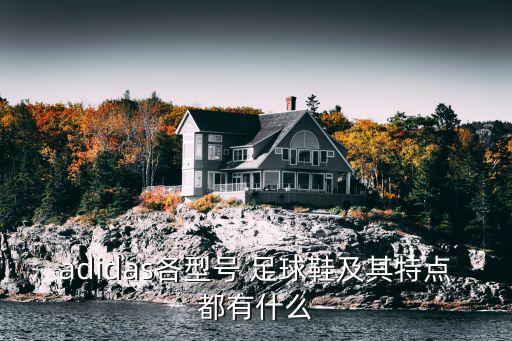 adidas各型號(hào) 足球鞋及其特點(diǎn)都有什么