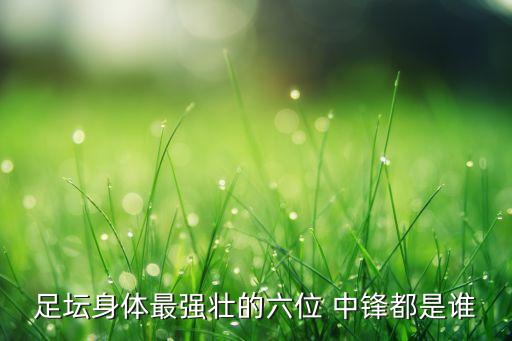 足壇身體最強壯的六位 中鋒都是誰