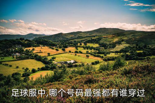  足球服中,哪個(gè)號碼最強(qiáng)都有誰穿過