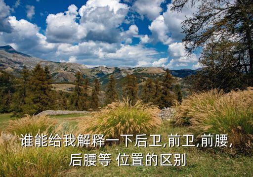 誰(shuí)能給我解釋一下后衛(wèi),前衛(wèi),前腰, 后腰等 位置的區(qū)別