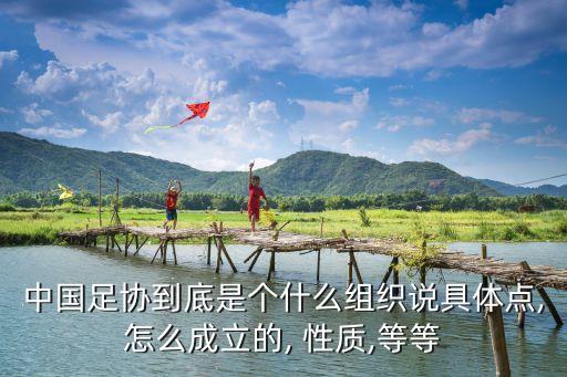 中國足協(xié)到底是個什么組織說具體點,怎么成立的, 性質,等等
