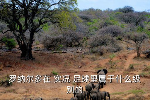 羅納爾多在 實況 足球里屬于什么級別的
