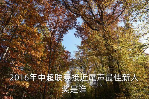 2016年中超聯(lián)賽接近尾聲最佳新人獎(jiǎng)是誰(shuí)