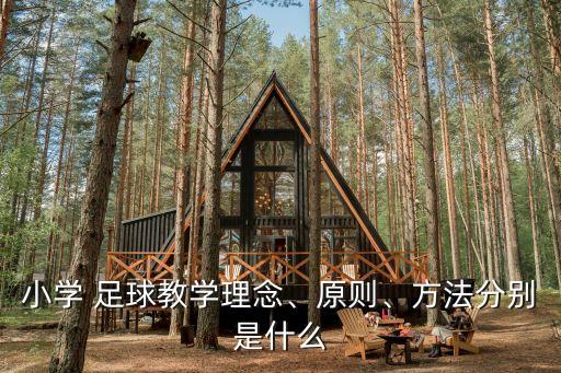 小學(xué) 足球教學(xué)理念、原則、方法分別是什么