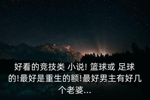 好看的競(jìng)技類 小說! 籃球或 足球的!最好是重生的額!最好男主有好幾個(gè)老婆...