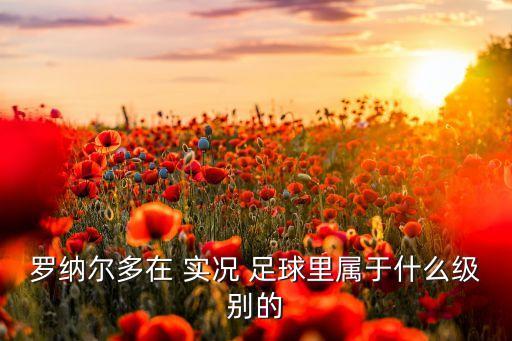 羅納爾多在 實(shí)況 足球里屬于什么級別的