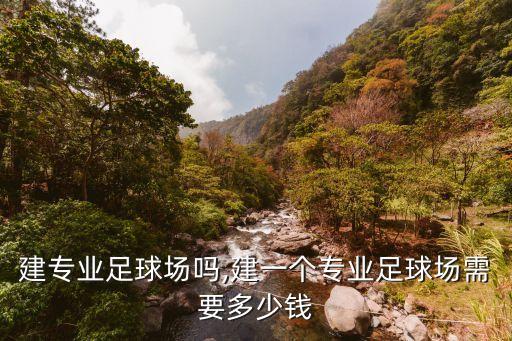 廣州建專業(yè)足球場(chǎng)嗎,建一個(gè)專業(yè)足球場(chǎng)需要多少錢
