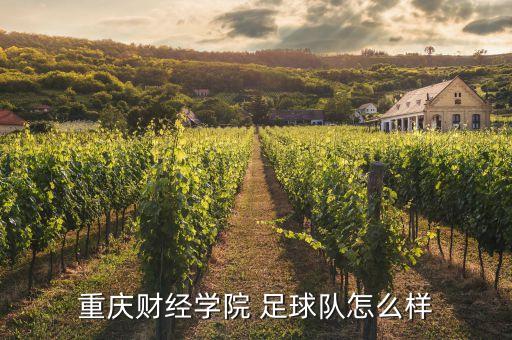 重慶財經(jīng)學(xué)院 足球隊怎么樣