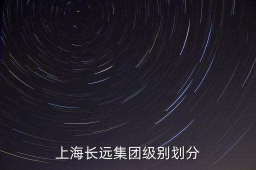 上海長遠集團級別劃分