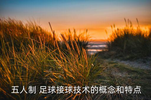  五人制 足球接球技術(shù)的概念和特點(diǎn)