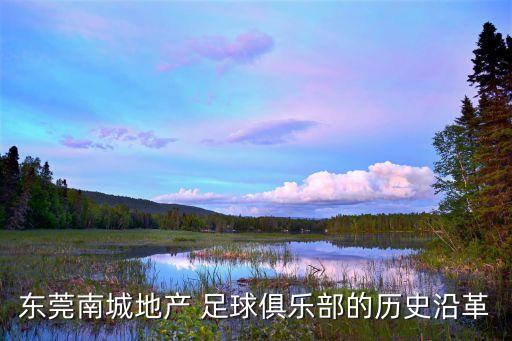 東莞南城地產 足球俱樂部的歷史沿革