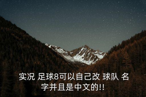  實(shí)況 足球8可以自己改 球隊(duì) 名字并且是中文的!!