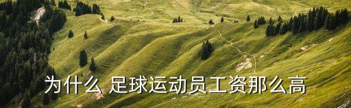 為什么 足球運(yùn)動(dòng)員工資那么高