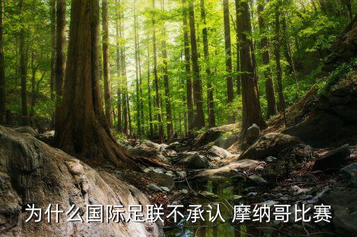 為什么國際足聯(lián)不承認(rèn) 摩納哥比賽