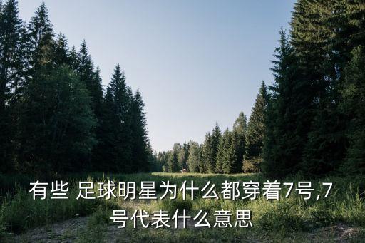 足球中7號(hào)