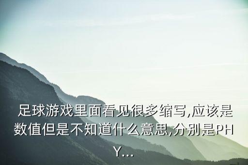  足球游戲里面看見很多縮寫,應(yīng)該是數(shù)值但是不知道什么意思,分別是PHY...