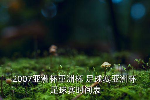 中國(guó)伊朗3月28日足球賽