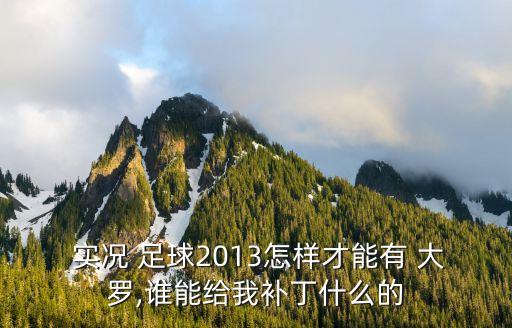  實(shí)況 足球2013怎樣才能有 大羅,誰能給我補(bǔ)丁什么的