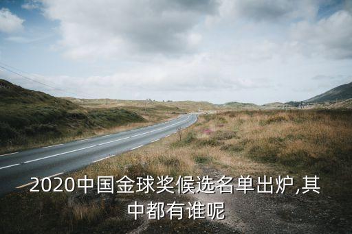 2020中國金球獎候選名單出爐,其中都有誰呢