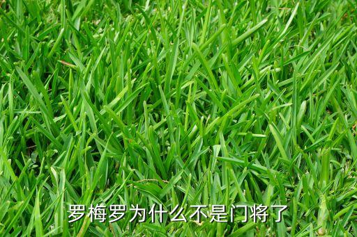 羅梅羅為什么不是門將了