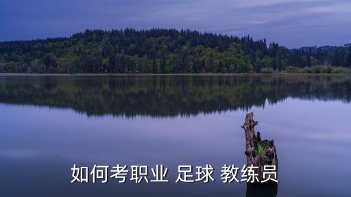 足球隊(duì)員可以當(dāng)教練嗎,美國足球教練鼓勵隊(duì)員的視頻
