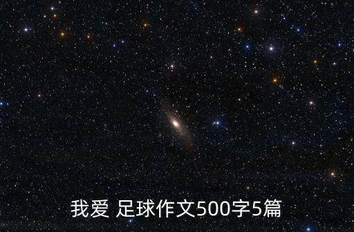 我愛(ài) 足球作文500字5篇