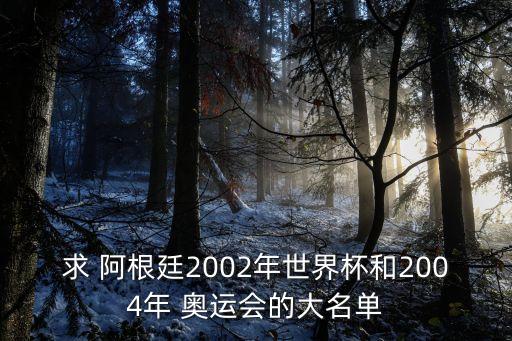 阿根廷雅典奧運(yùn)足球隊(duì)