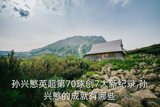 孫興慜英超第70球創(chuàng)7大新紀錄,孫興慜的成就有哪些