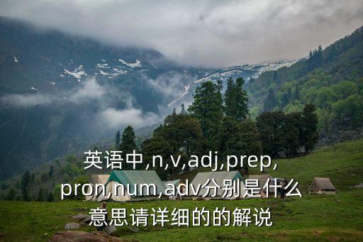 英語中,n,v,adj,prep,pron,num,adv分別是什么意思請詳細的的解說