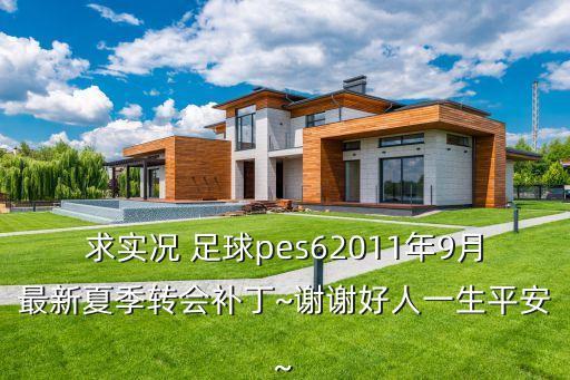 求實況 足球pes62011年9月最新夏季轉(zhuǎn)會補丁~謝謝好人一生平安~