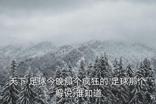 天下 足球今晚那個(gè)瘋狂的 足球那個(gè) 解說(shuō),誰(shuí)知道