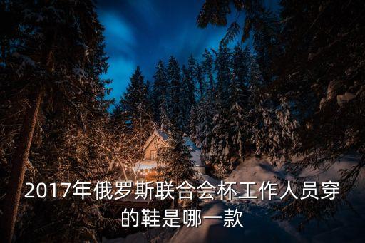 2017年俄羅斯聯(lián)合會(huì)杯工作人員穿的鞋是哪一款