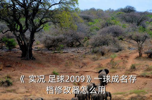 《 實況 足球2009》一球成名存檔修改器怎么用