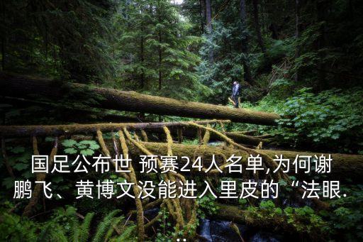 國足公布世 預(yù)賽24人名單,為何謝鵬飛、黃博文沒能進入里皮的“法眼...
