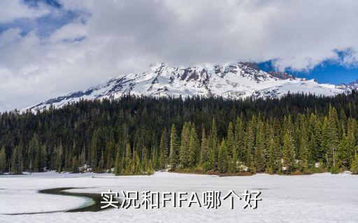  實況和FIFA哪個好