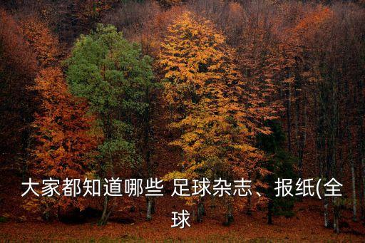 大家都知道哪些 足球雜志、報(bào)紙(全球