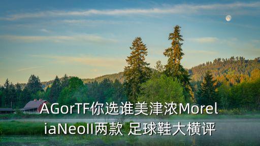 AGorTF你選誰美津濃MoreliaNeoII兩款 足球鞋大橫評