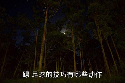 踢 足球的技巧有哪些動作