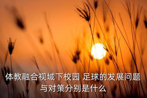 體教融合視域下校園 足球的發(fā)展問題與對策分別是什么