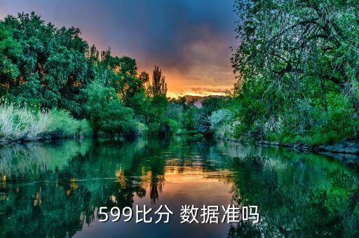 599比分 數(shù)據(jù)準嗎