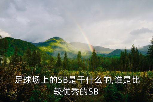 足球場(chǎng)暴徒 佩佩
