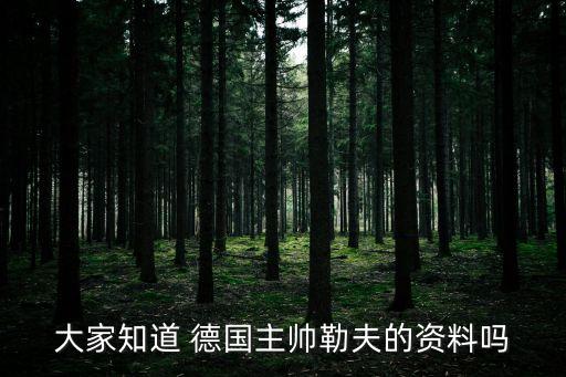 大家知道 德國主帥勒夫的資料嗎