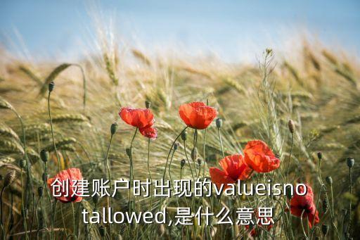 創(chuàng)建賬戶時(shí)出現(xiàn)的valueisnotallowed,是什么意思