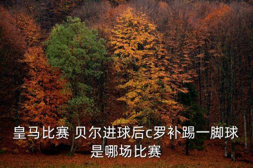 皇馬比賽 貝爾進(jìn)球后c羅補(bǔ)踢一腳球是哪場比賽