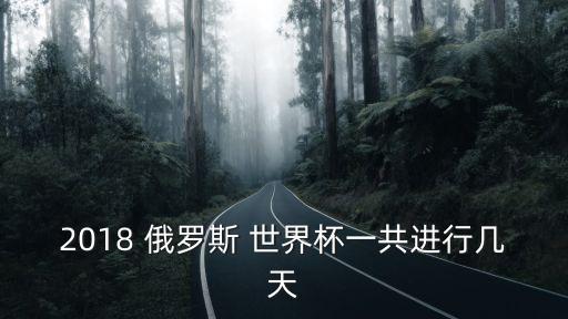 2018 俄羅斯 世界杯一共進行幾天